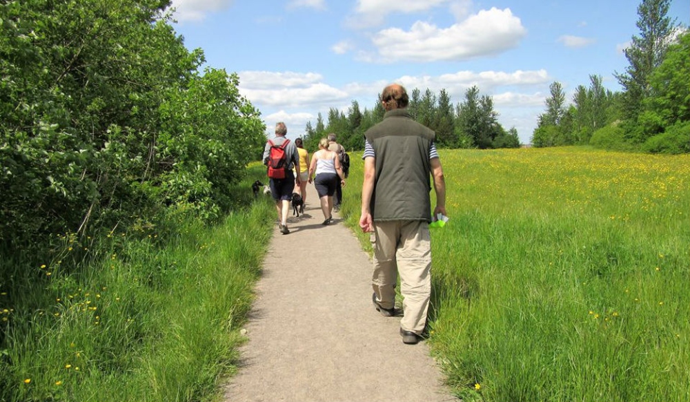 People exploring Rough Park